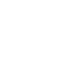 Council of Health Insurance