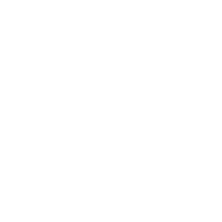 National Transformation Program