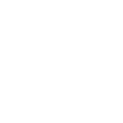 Prince Sattam Bin Abdulaziz University